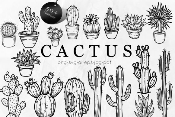 Cactus SVG Bundle Succulent Line Art: Graphics & Illustrations