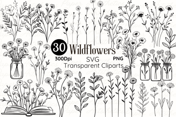 Minimal Wildflower Doodle SVG: Graphics & Illustrations for Editorial Polish