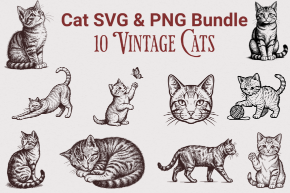 Vintage Cat Clipart, Kitten SVG PNG Set: Graphics & Illustrations