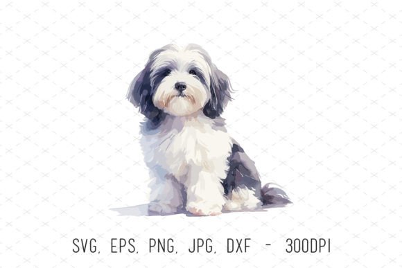 Watercolor Cute Havanese Dog Clipart SVG: Graphics & Illustrations