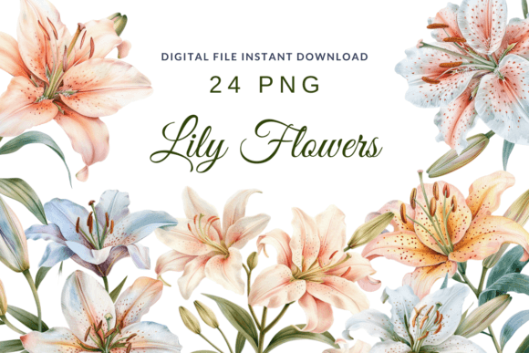 Watercolor Lilies Flower Lily Clipart: Graphics & Illustrations for Handmade Brands